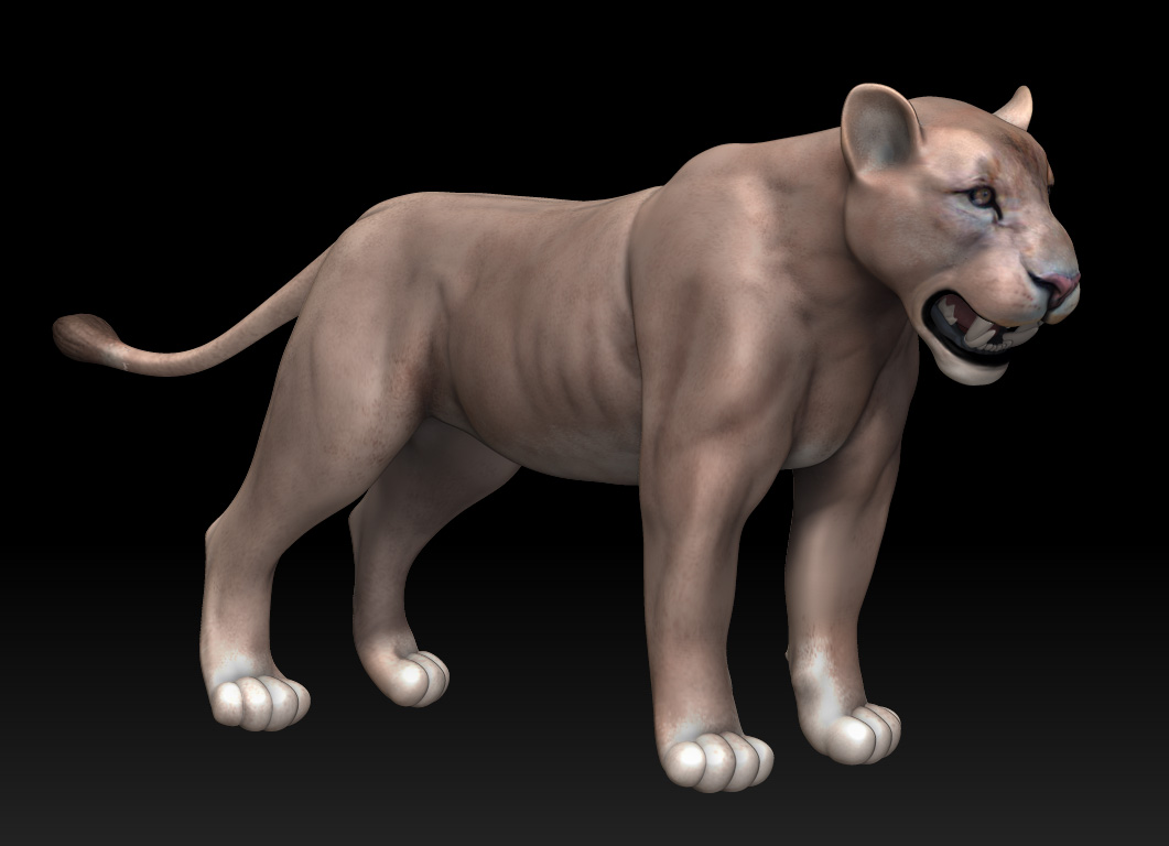 lion3.jpg