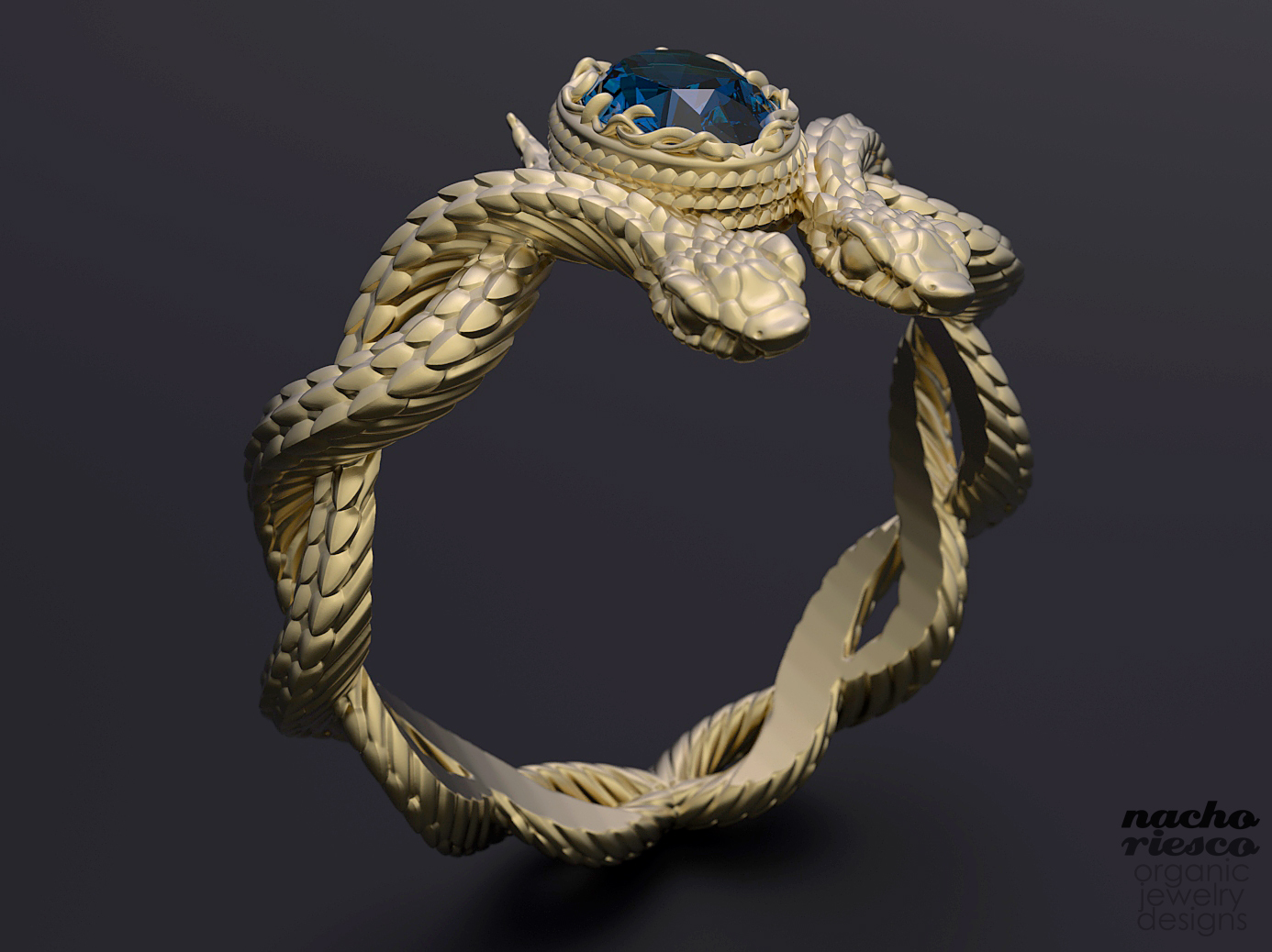 anillo-serpientes6.jpg