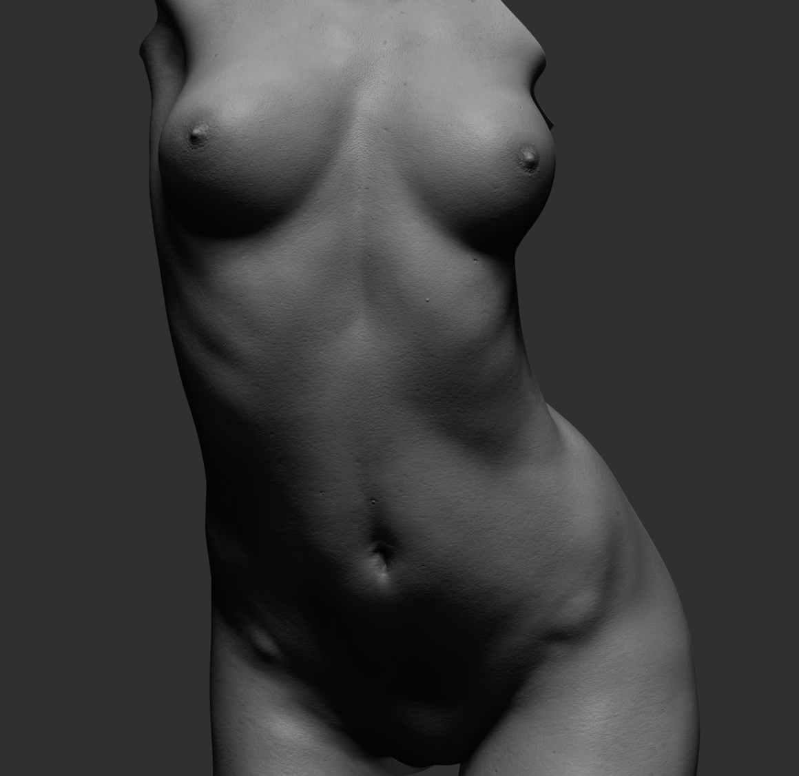 dynamic_female_torso01