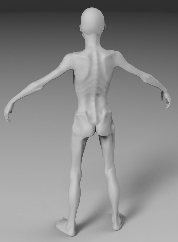 emaciated_back_01.jpg