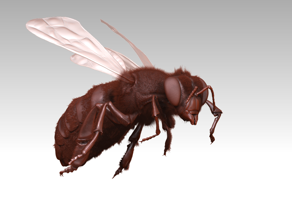 04_Render2Bee_Laka.JPG