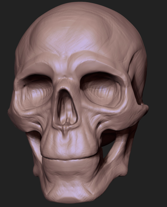 Skull.jpg