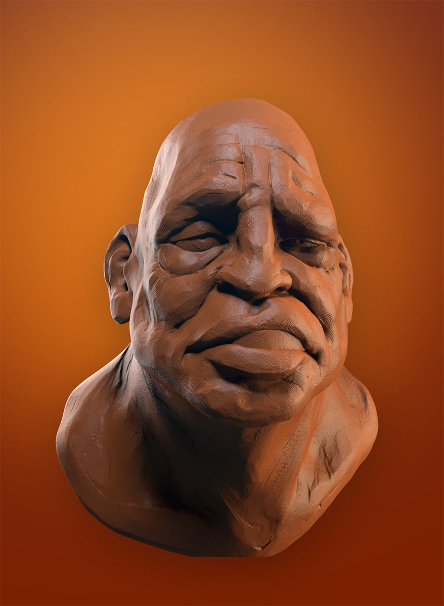 the Boxer.jpg