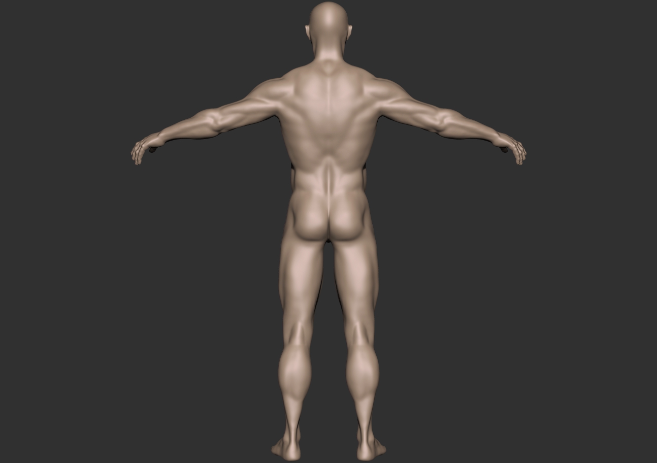 bodybuilder_back.jpg