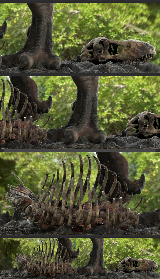 foot.jpg