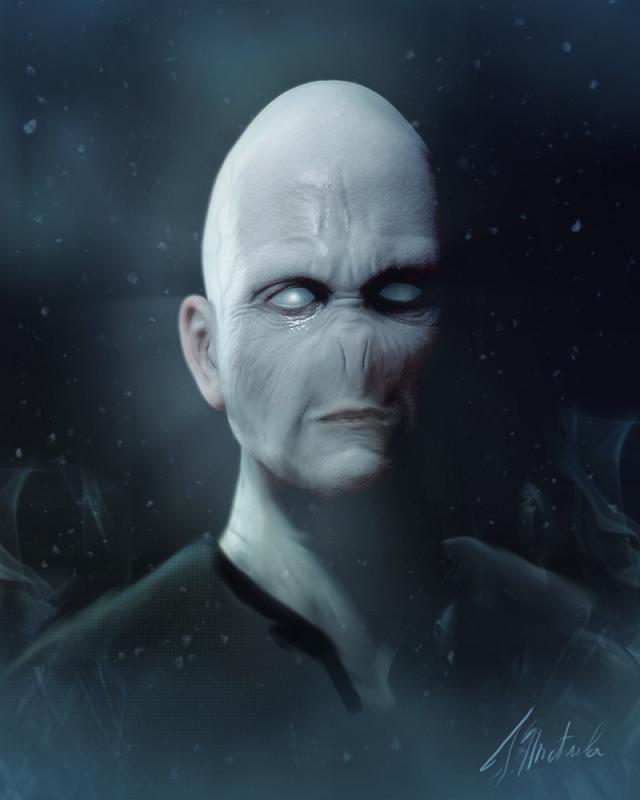 LordVoldemortLow.jpg