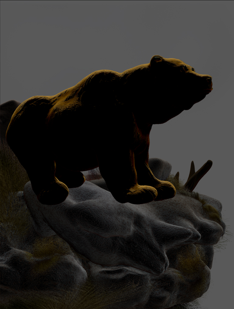 GRIZZLY BEAR CLIFF 4.jpg