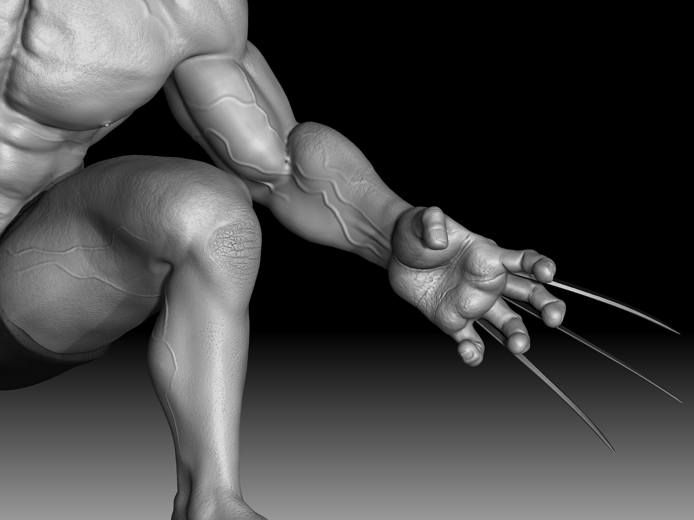 ZBrush Documentasdsadsadsadsadsa.jpg