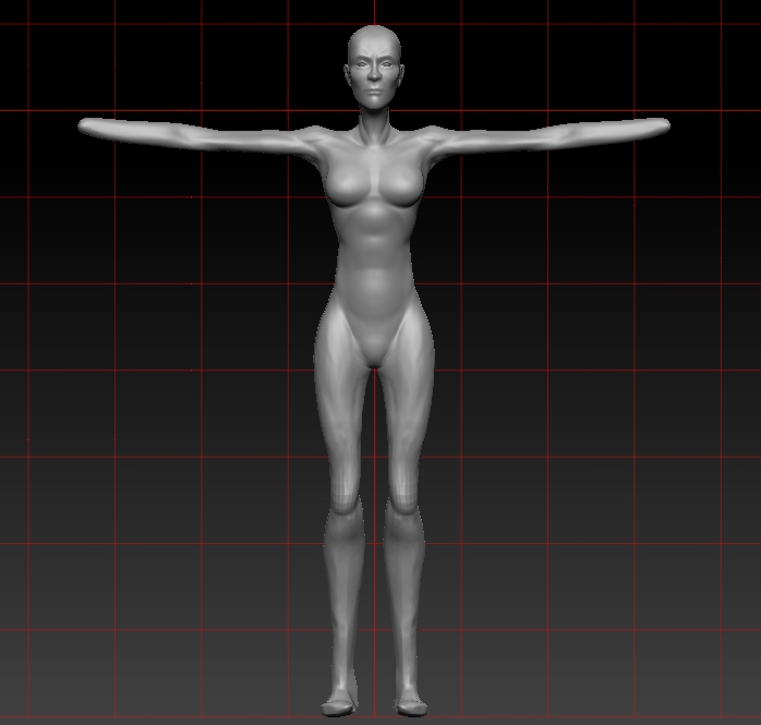 proportions.jpg