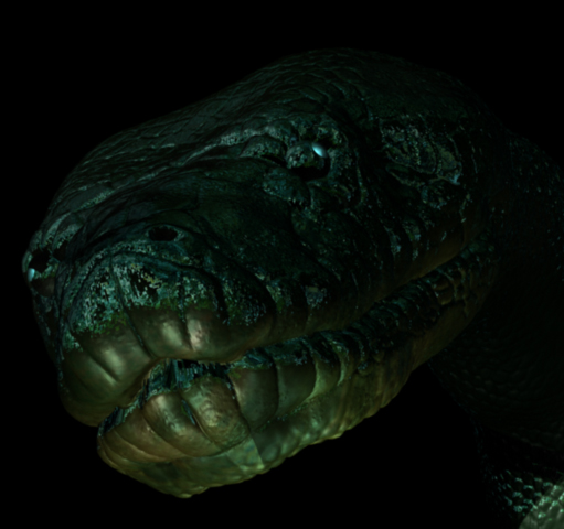 anaconda.jpg