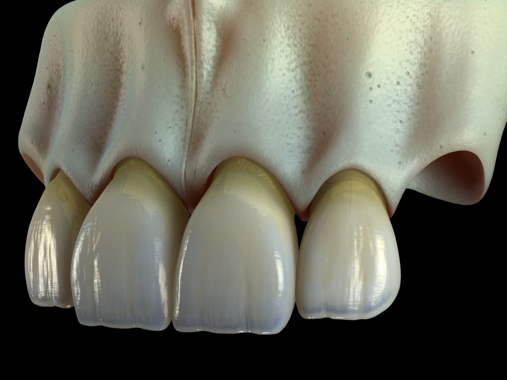 hueso+dientes3.jpg
