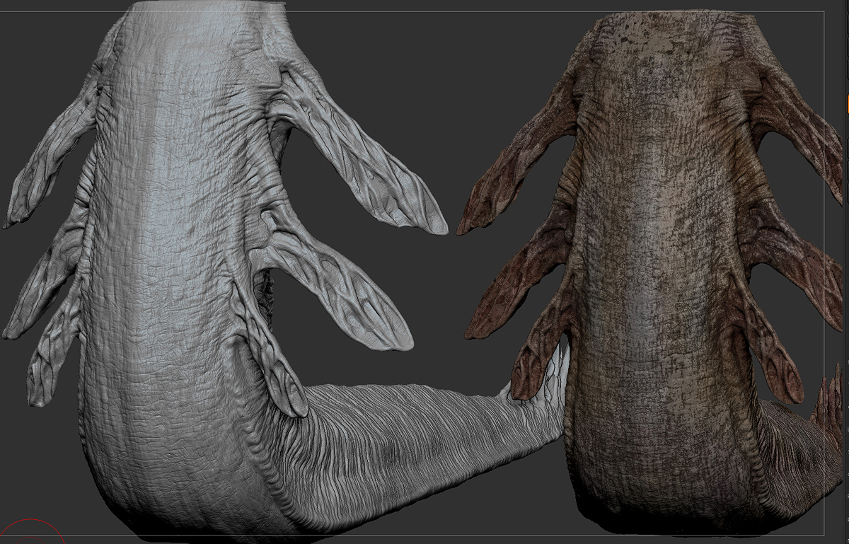 tail.jpg