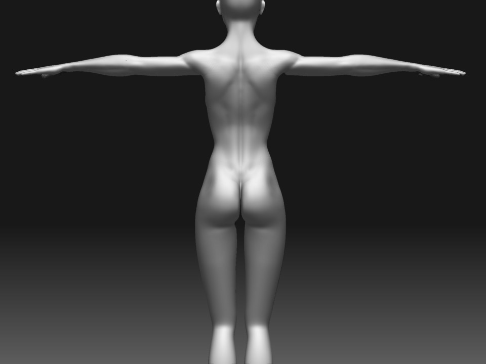 back.jpg