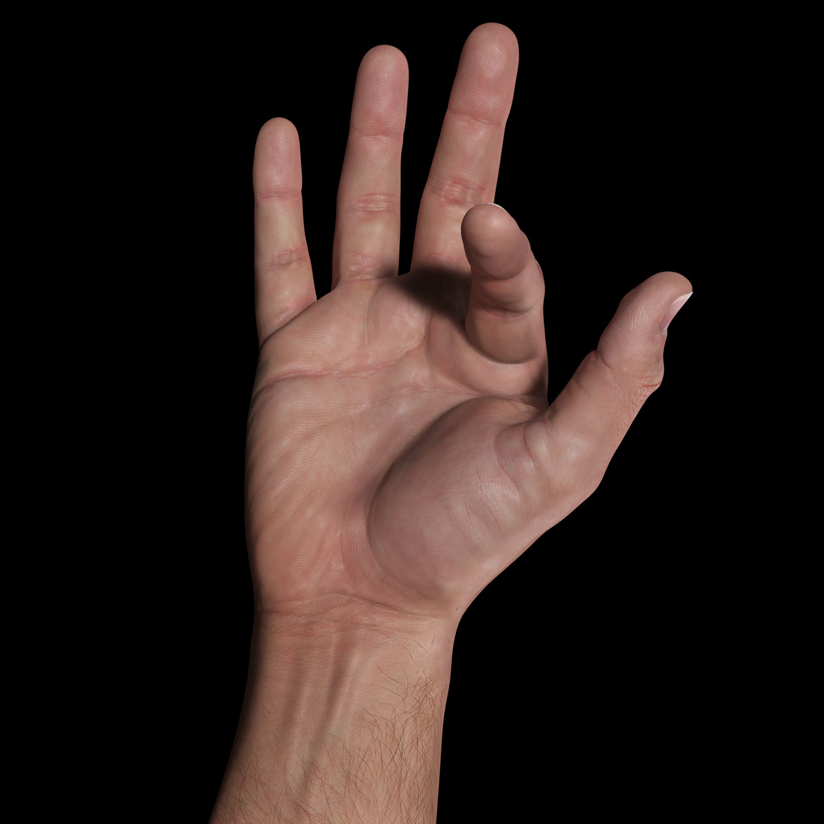 hand1-21.jpg