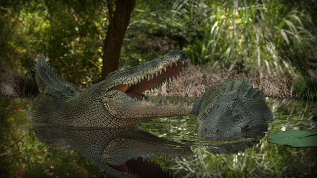 Organic_rendering_in-KeyShot_blog.jpg