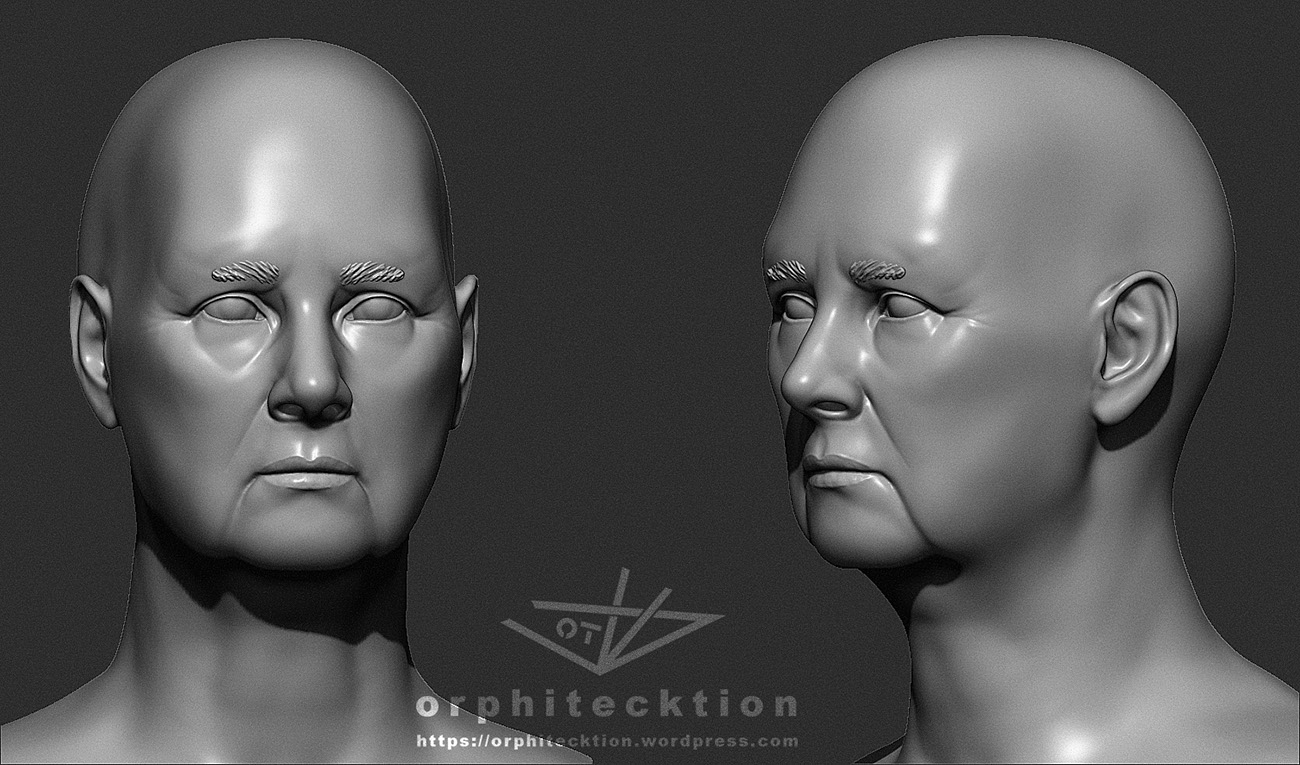 Bust_2017_g01.jpg