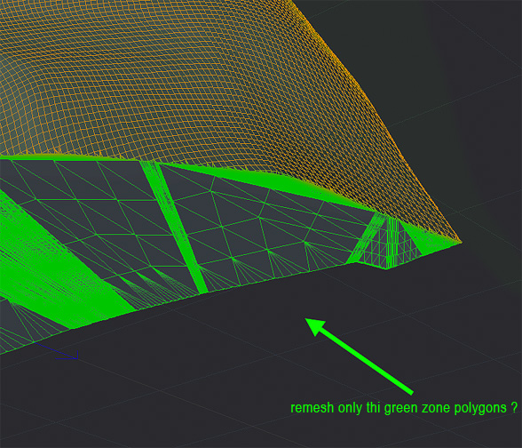 remesh_poligons_only_g.jpg