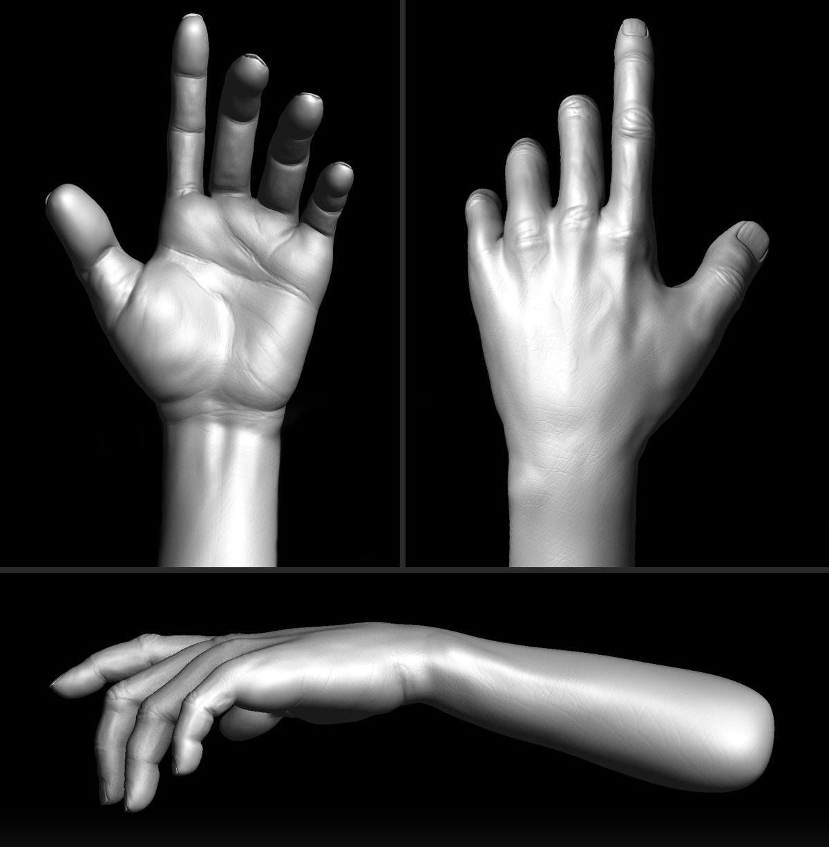 FinalHand_02.jpg