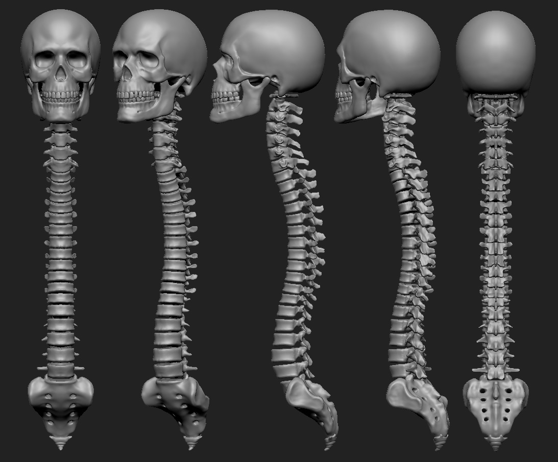 Skeleton_03.jpg