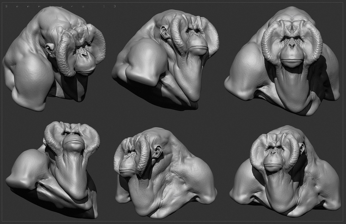 Primate_03_BM.jpg