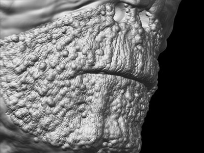 mummy_mouthDetail4-web.jpg