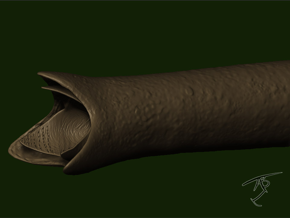 duneworm5.jpg