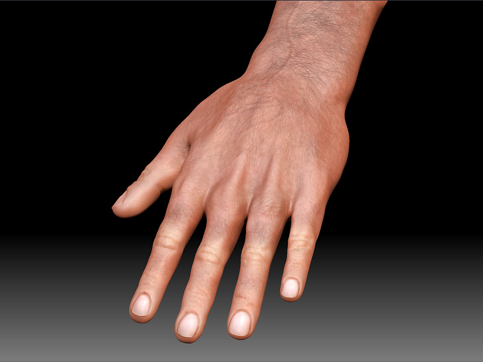 CHM_hands.jpg