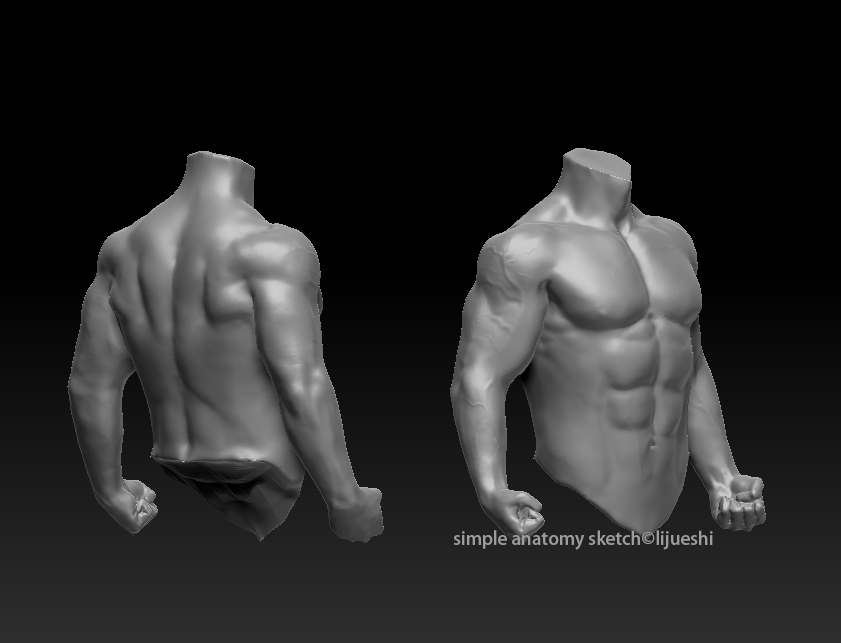 male_torso.jpg