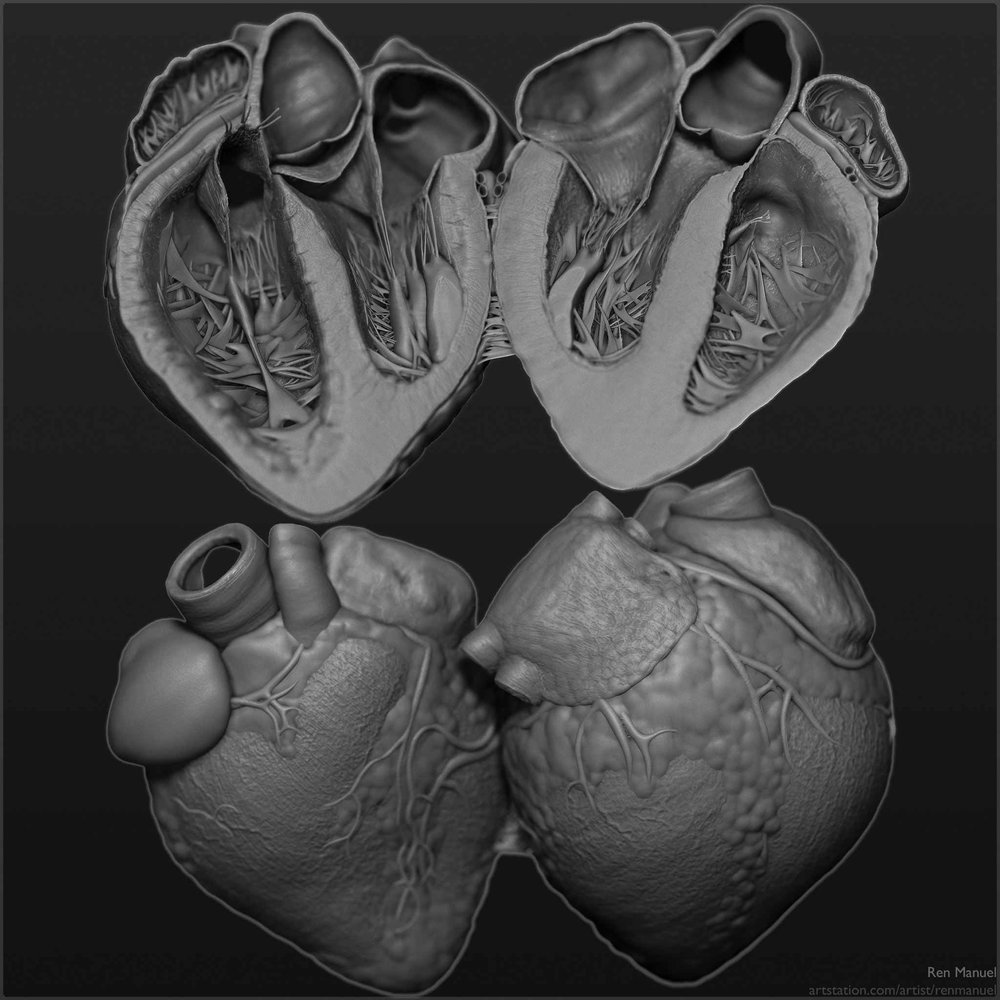 heart slice sculpt.jpg