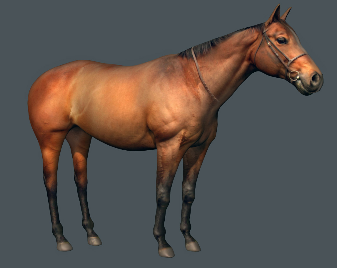 horse Kopie.jpg