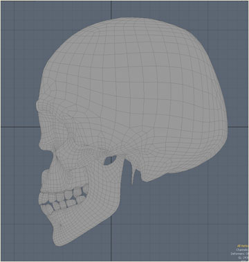 modo-base-side.jpg