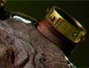 phleg_wip09_thumb.jpg