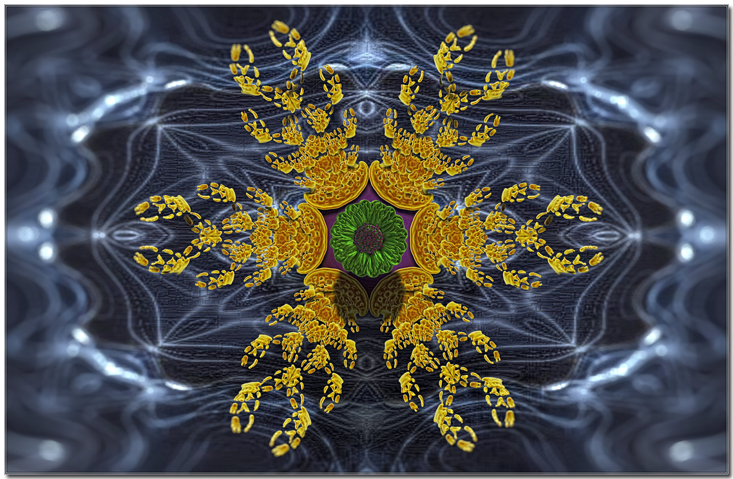 Flowers.jpg