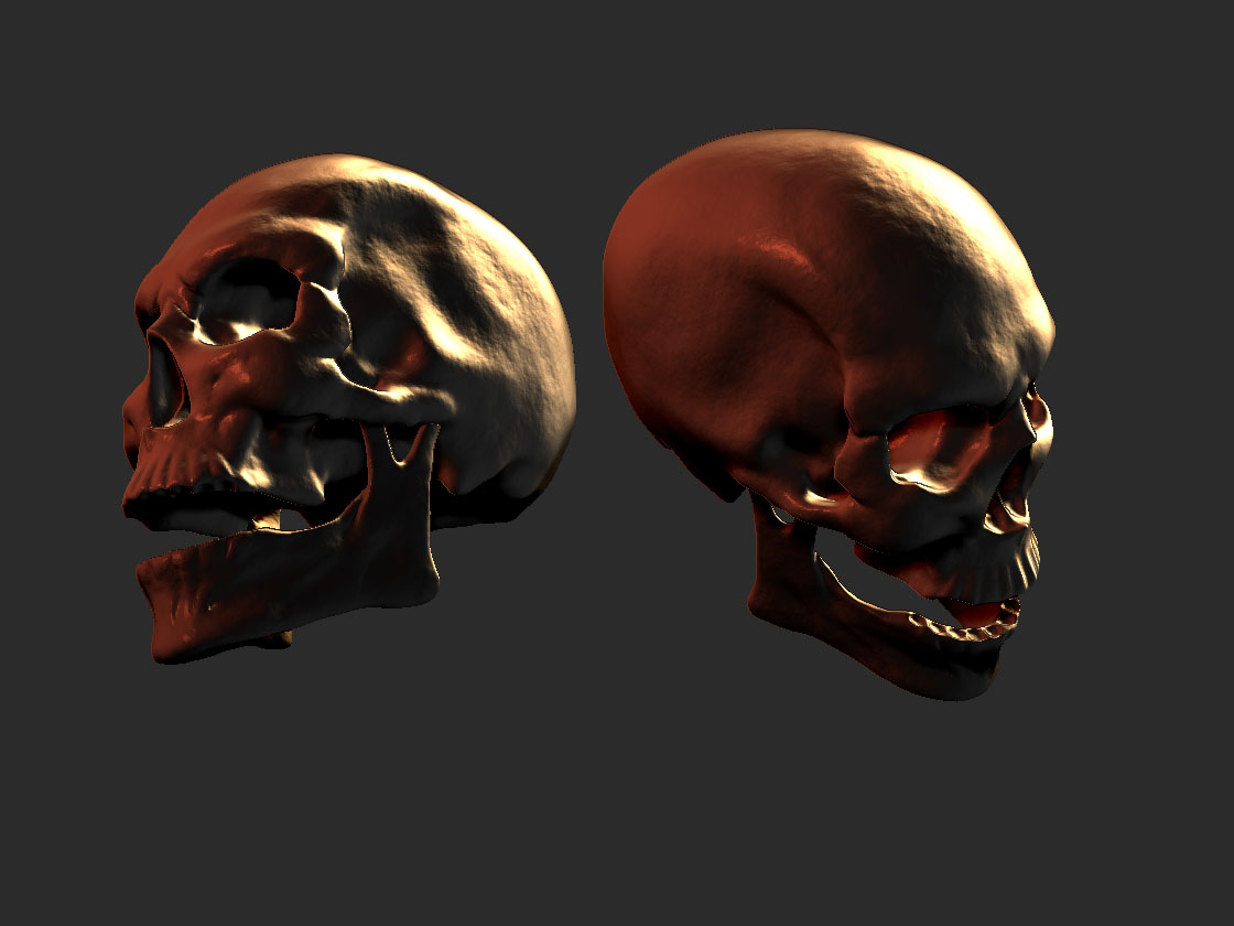 skull_001.jpg