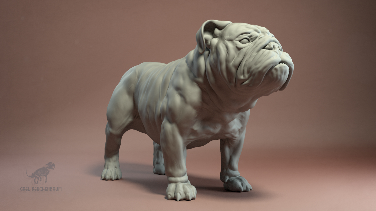 bulldog_005.jpg