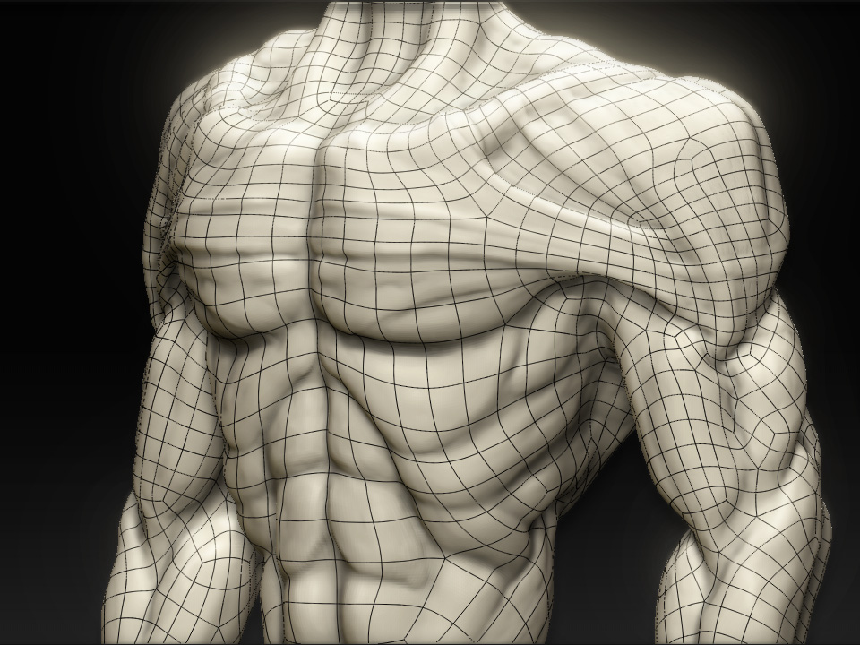 ZealotBody.jpg