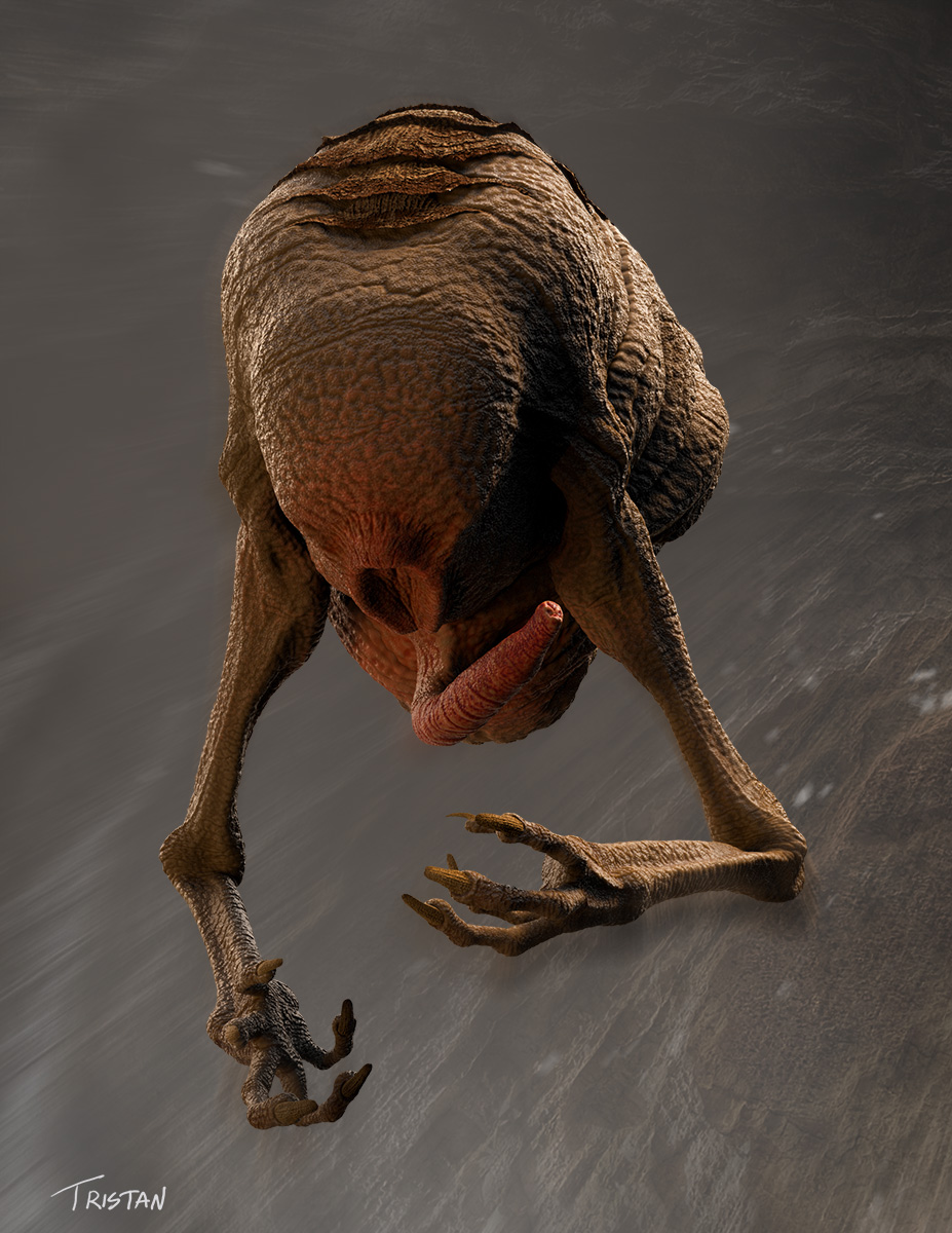 Imp_03.jpg