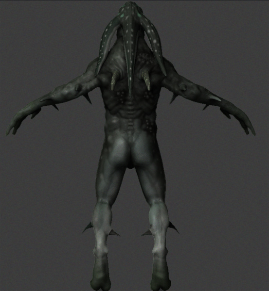 KalmarTextureBack2.jpg