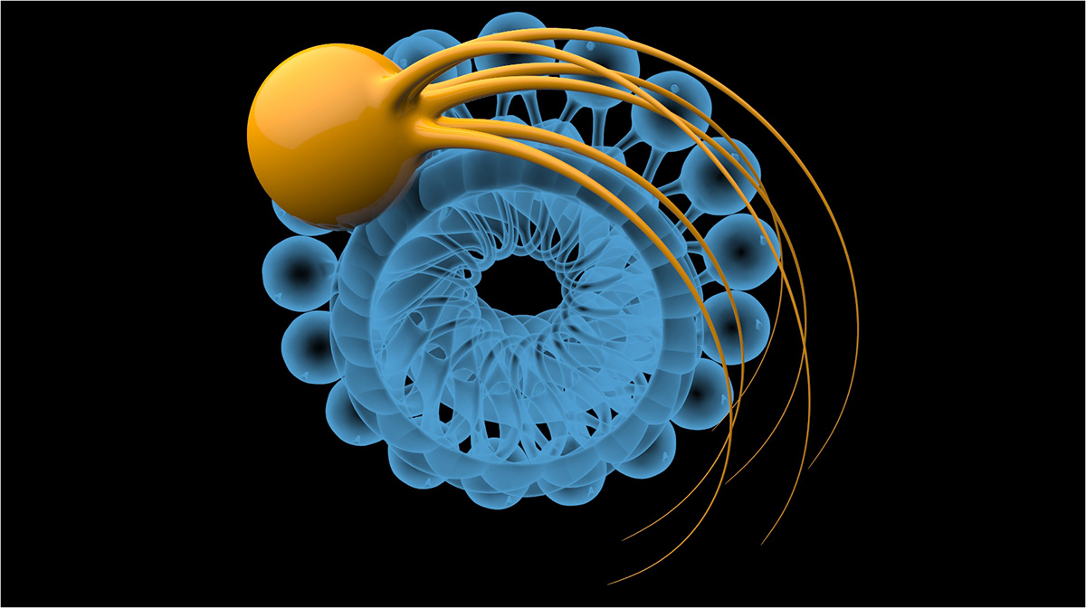 XraySproutedBall.jpg