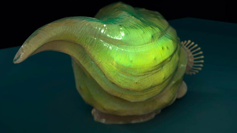snailRender04.jpg