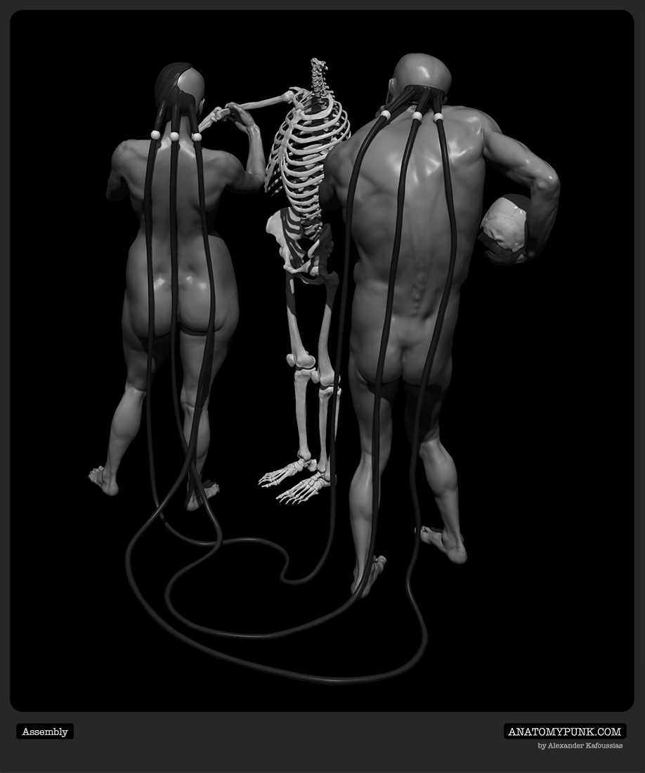 Assembly view 4_Anatomypunk.jpeg