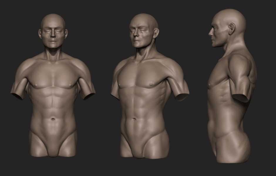 Torso.jpeg