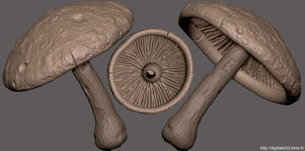 Mushroom01.jpg