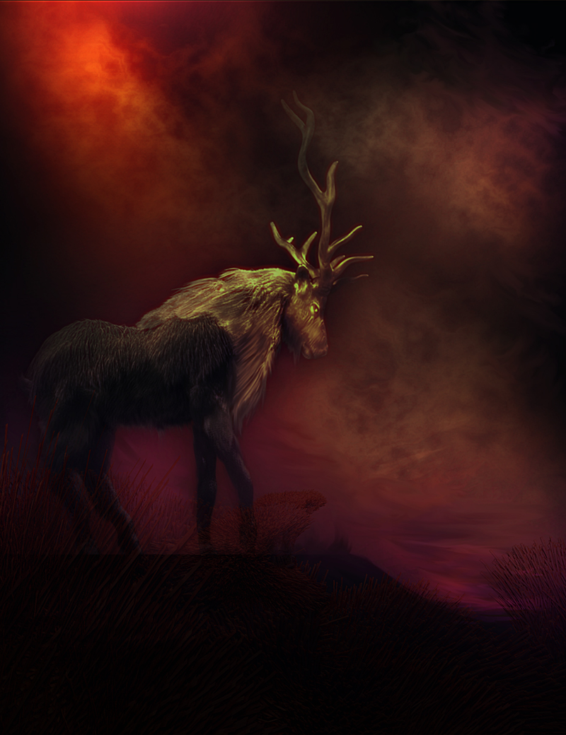 ELK 13.jpg