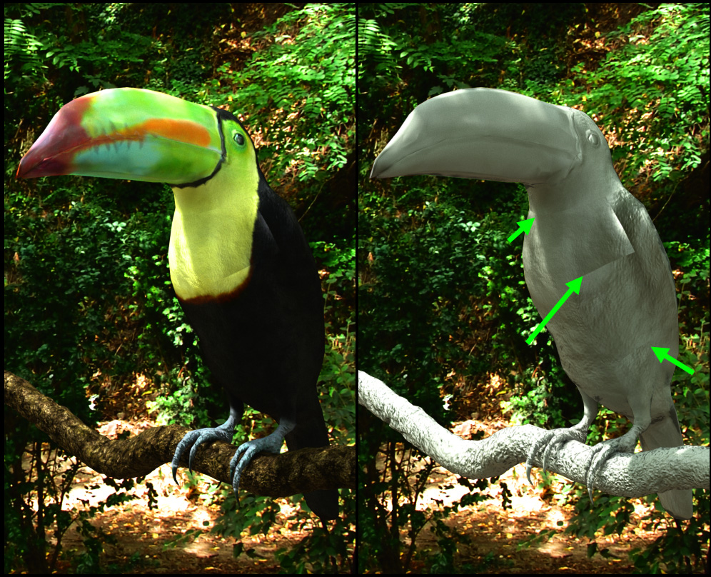 toucan.jpg