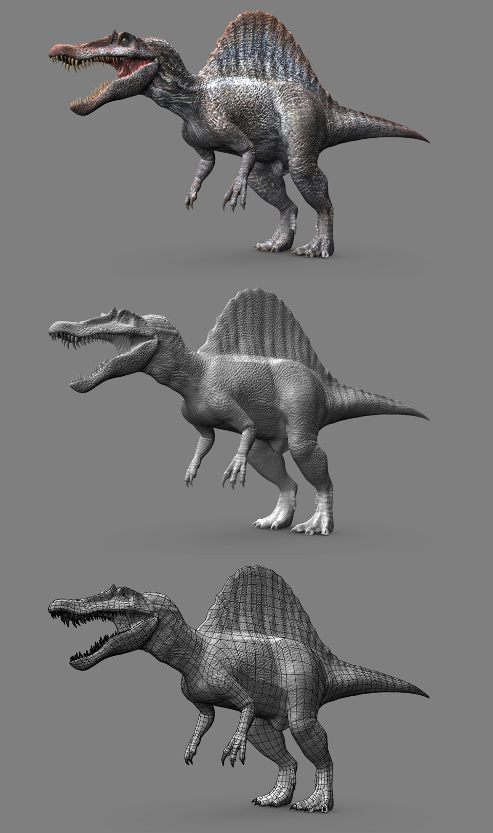 spinobreakdown.jpg