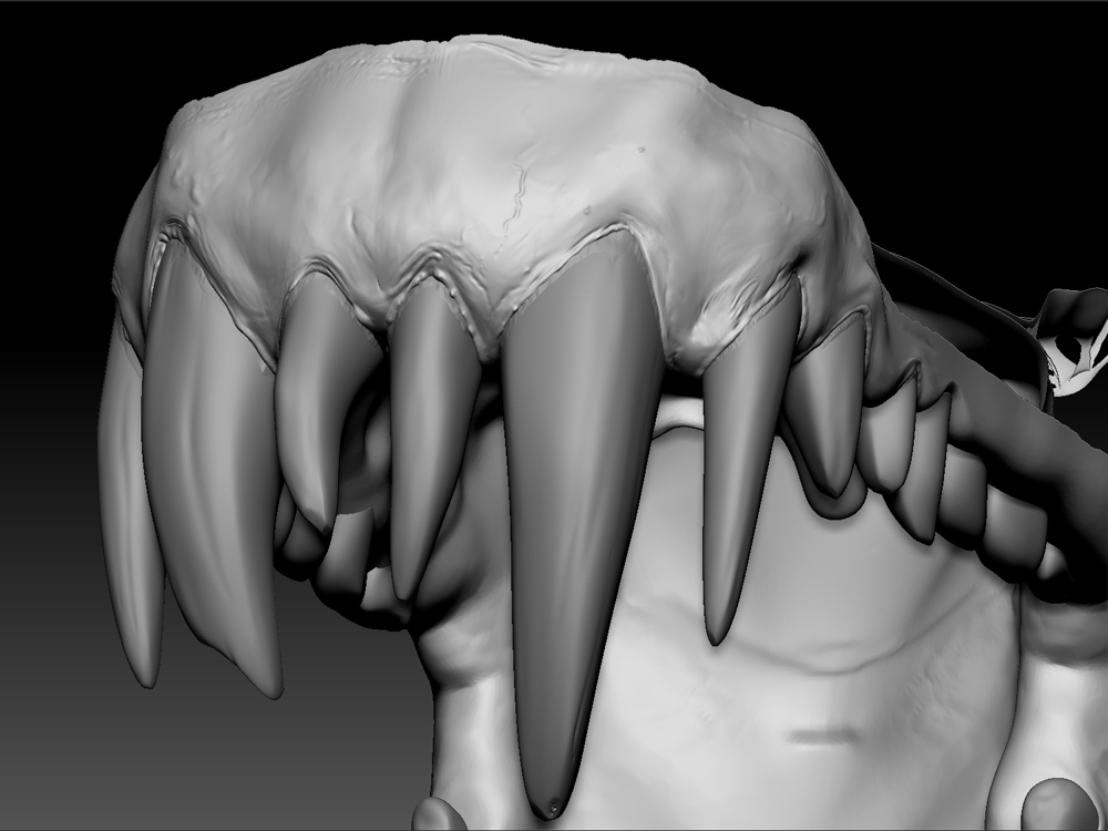 ZBrush eefef.jpg