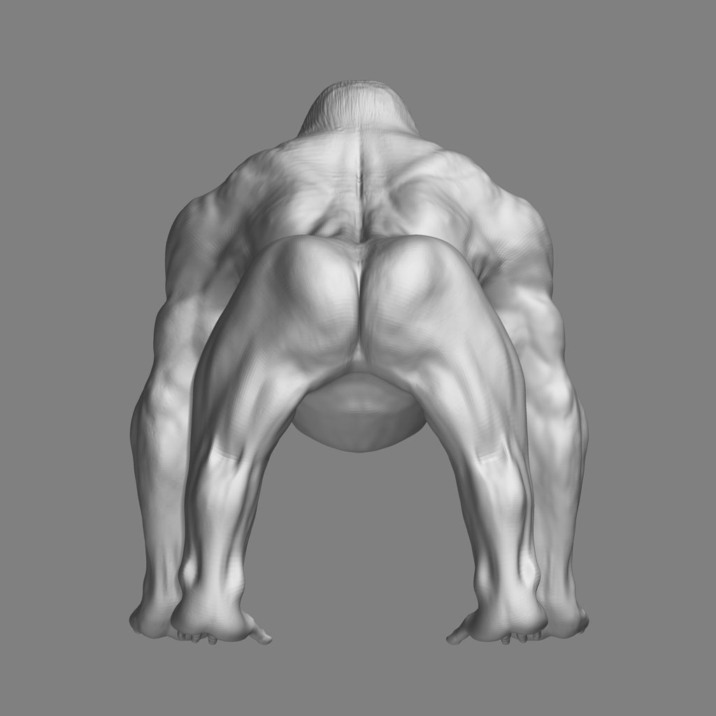 goriman_back.jpg