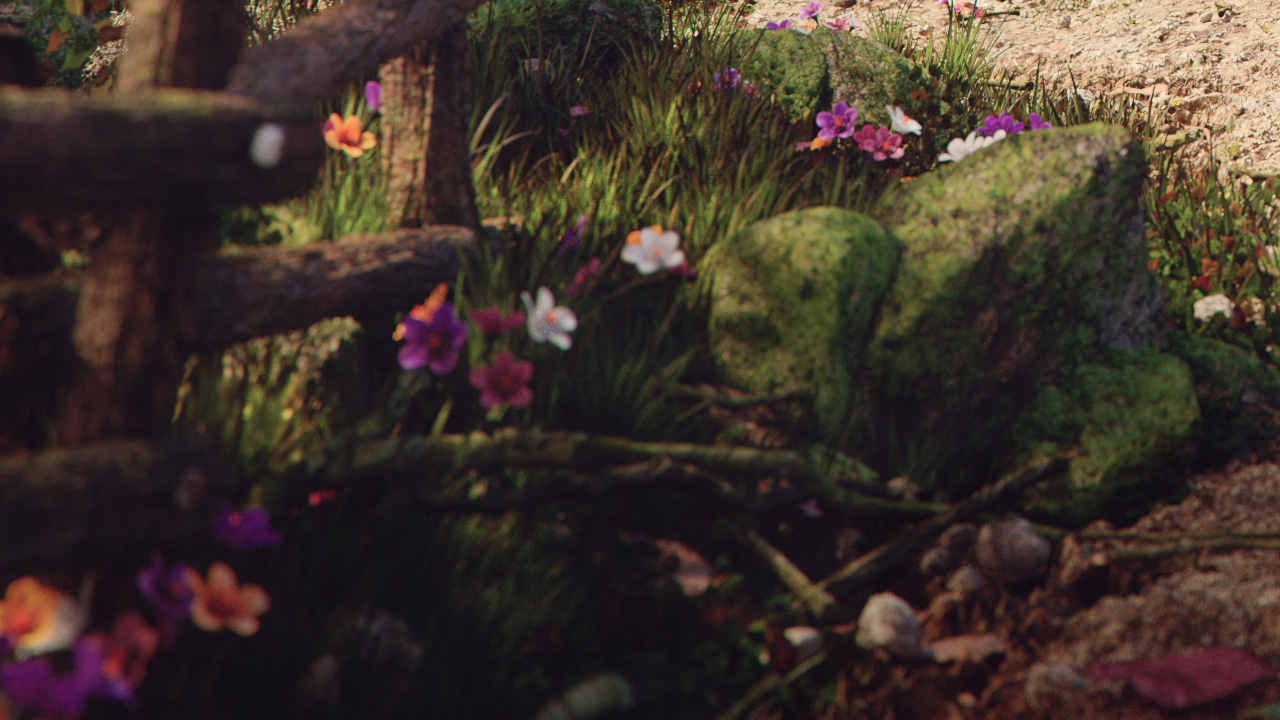 crop5.jpg