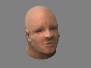 Face_realistic4.jpg